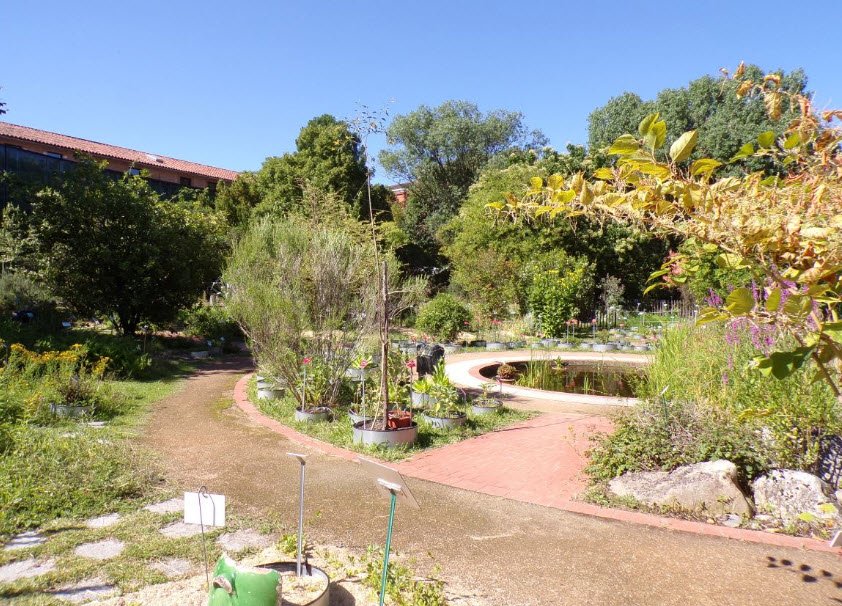 Jardin botanique Henri-Gaussen, Toulouse, France, France